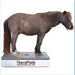 brown horse using theraplate