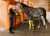 Thermotex Equine Far Infrared Heating Leggings Horse and Girl