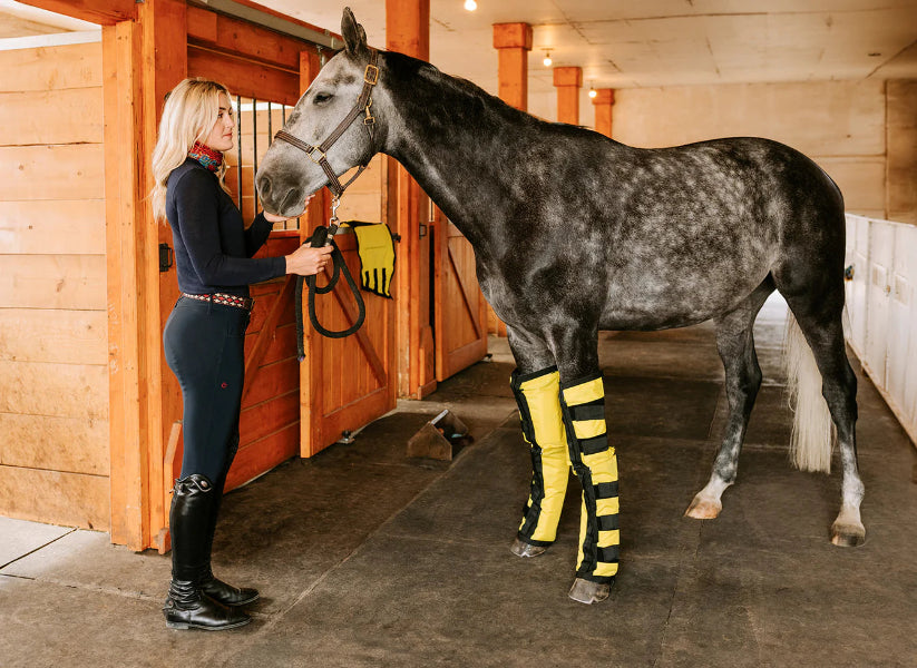 Thermotex Equine Far Infrared Heating Leggings Horse and Girl