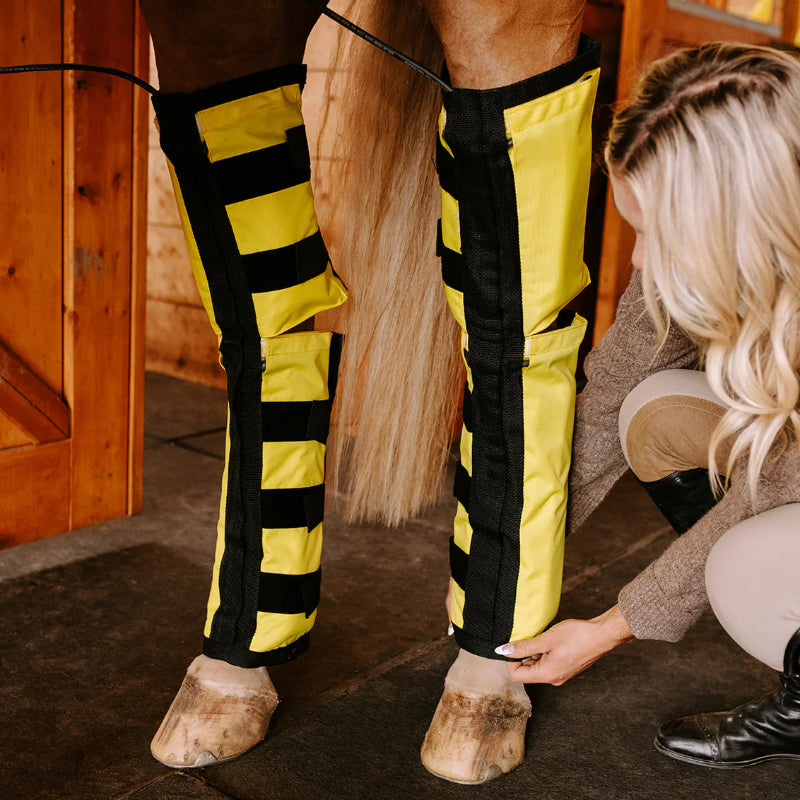 Thermotex Equine Far Infrared Heating Leggings - hind legs 