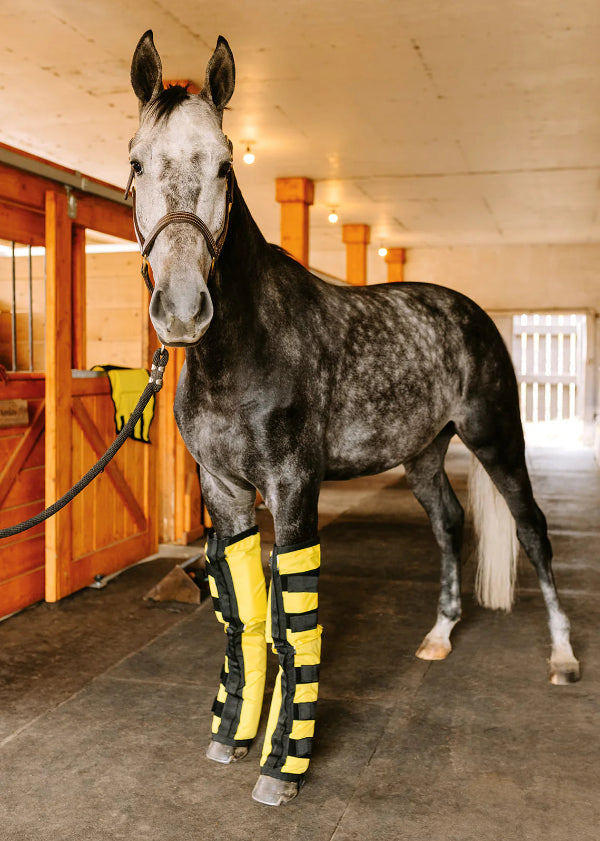 Thermotex Equine Far Infrared Heating Leggings - forelimbs