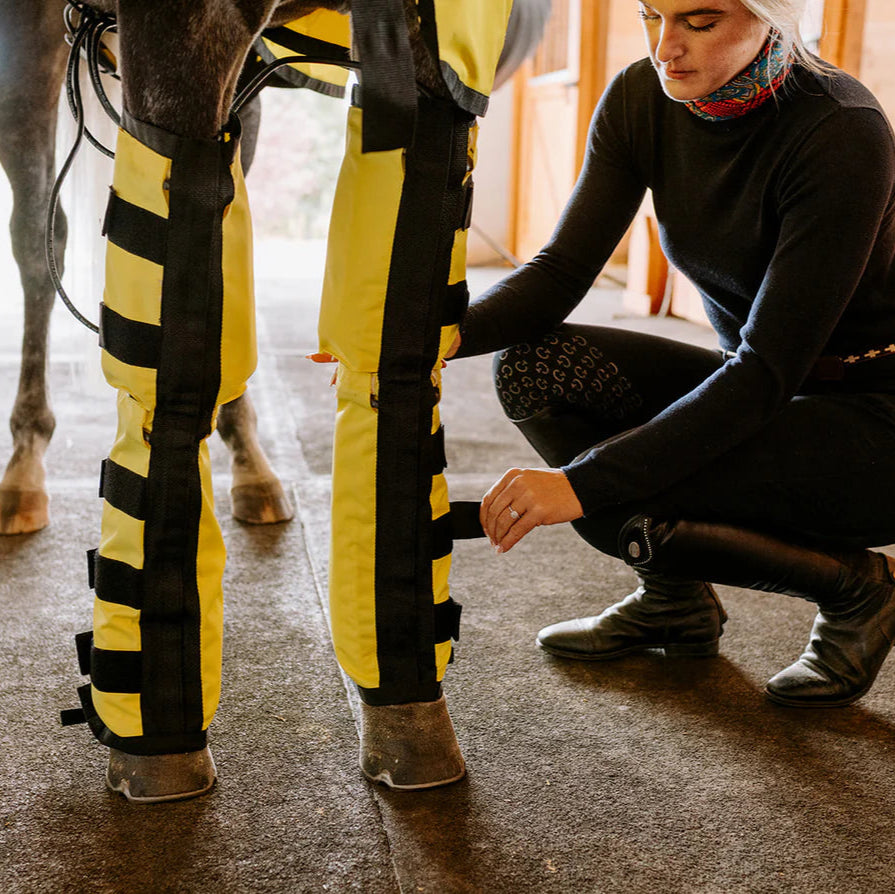 Thermotex Equine Far Infrared Heating Leggings