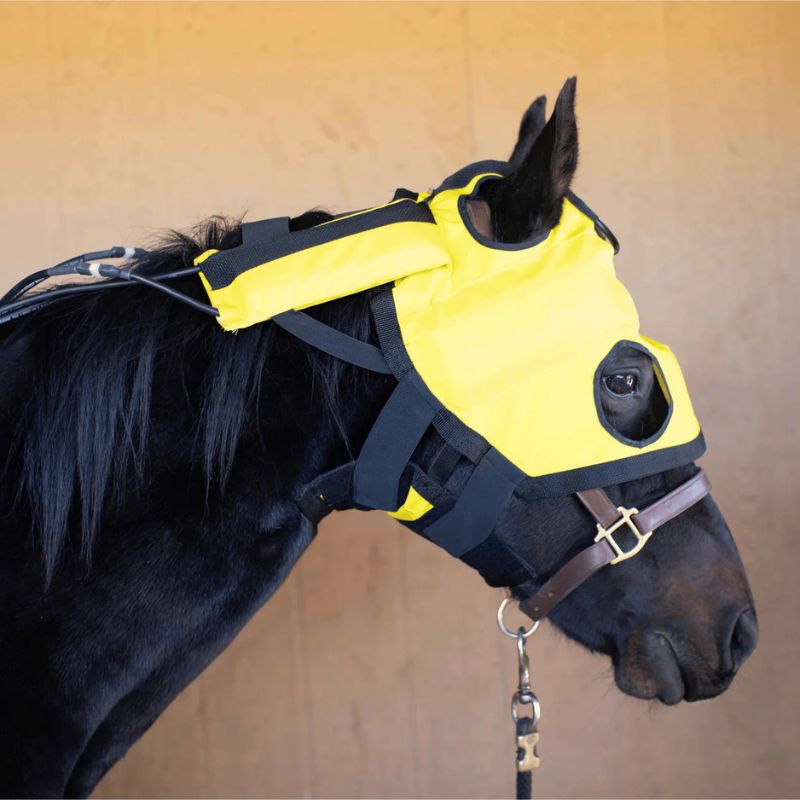 Black Horse wearing Infrared Heating TMJ Hood