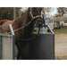 Horse in a treadmill with trees and a house in the background.