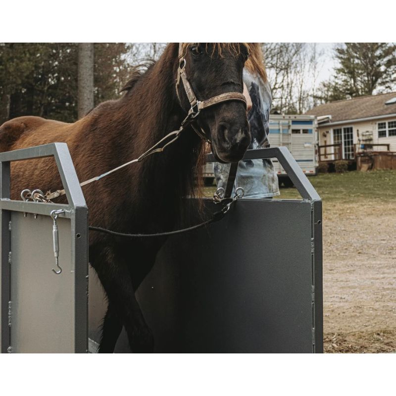 Horse in a treadmill with trees and a house in the background.