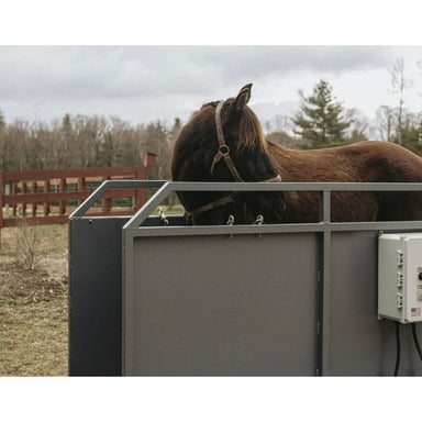 Horse standing in Treadmill for horses  in an outdoor setting with trees and a fence in the background.