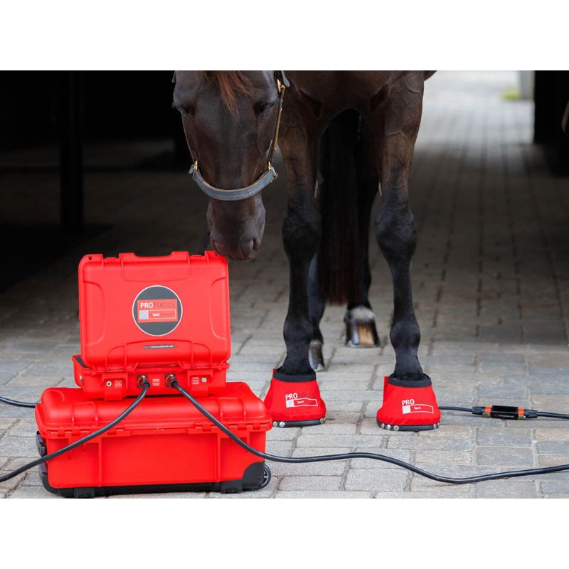 Red equine hoof care machine with a horse wearing red booties in a stable.