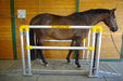 Vitafloor Horse Vibration Plate happy horse