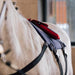 Horse with a bridle and red and blue saddle pad in an indoor setting