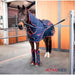 Horse wearing a blue protective garment with 'Activomed' branding in an indoor setting.