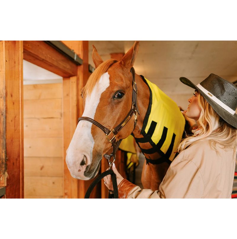 girl setting up the best infrared heating pad horse