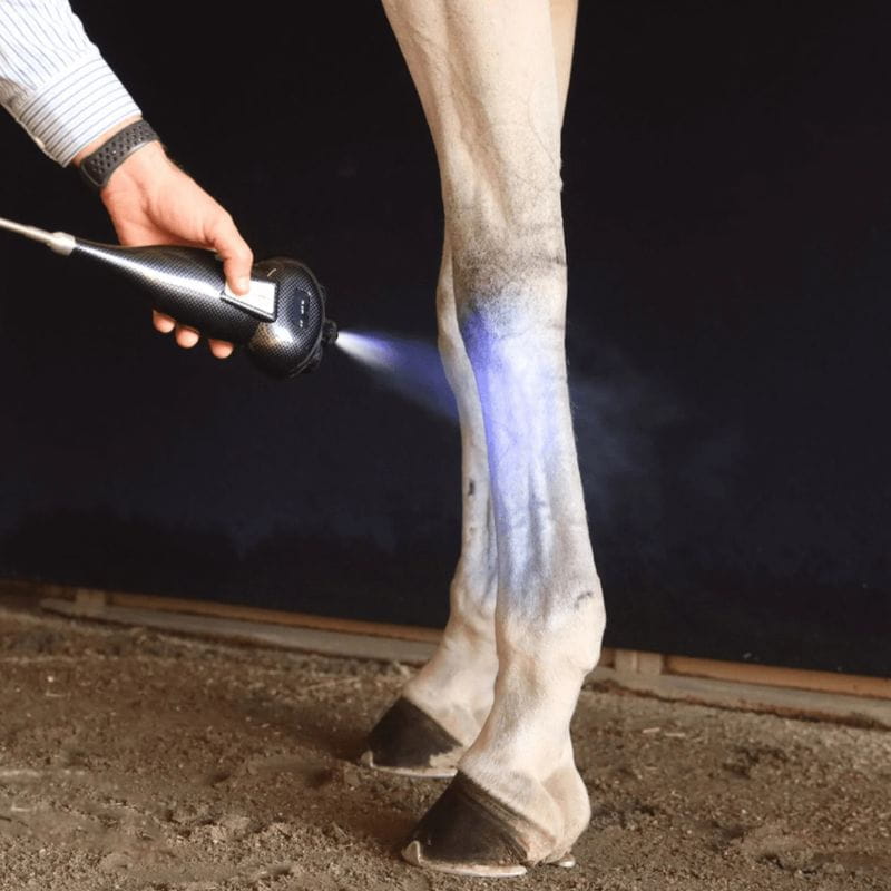 America Cryo SubZero Cryotherapy for Horses