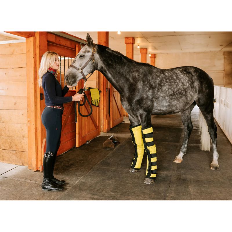 girl and horse wearing Heating pad infrared leggings