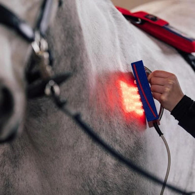 Person using a red light device on a horse's back