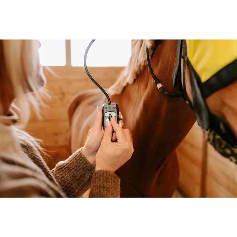 using far infrared heating pad on horse