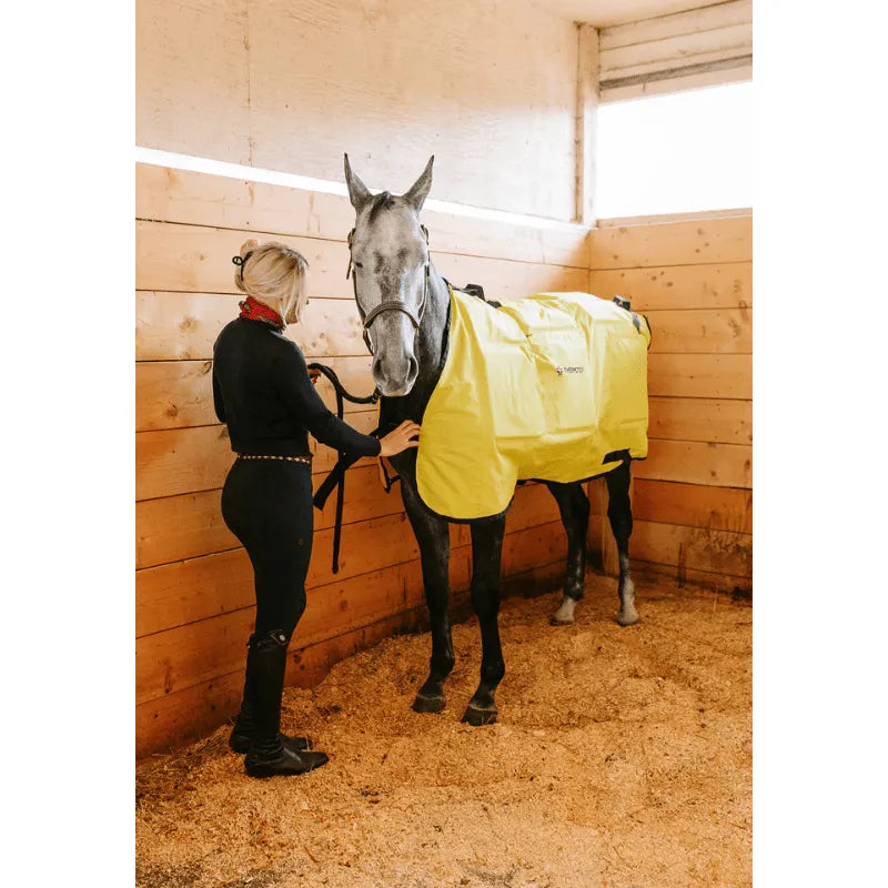 girl and horse wearing beamer blanket