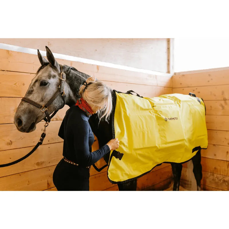 heated blanket for horses and girl