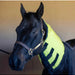 horse wearing a neck heated horse blanket complement