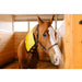 horse wearing heated blanket for neck