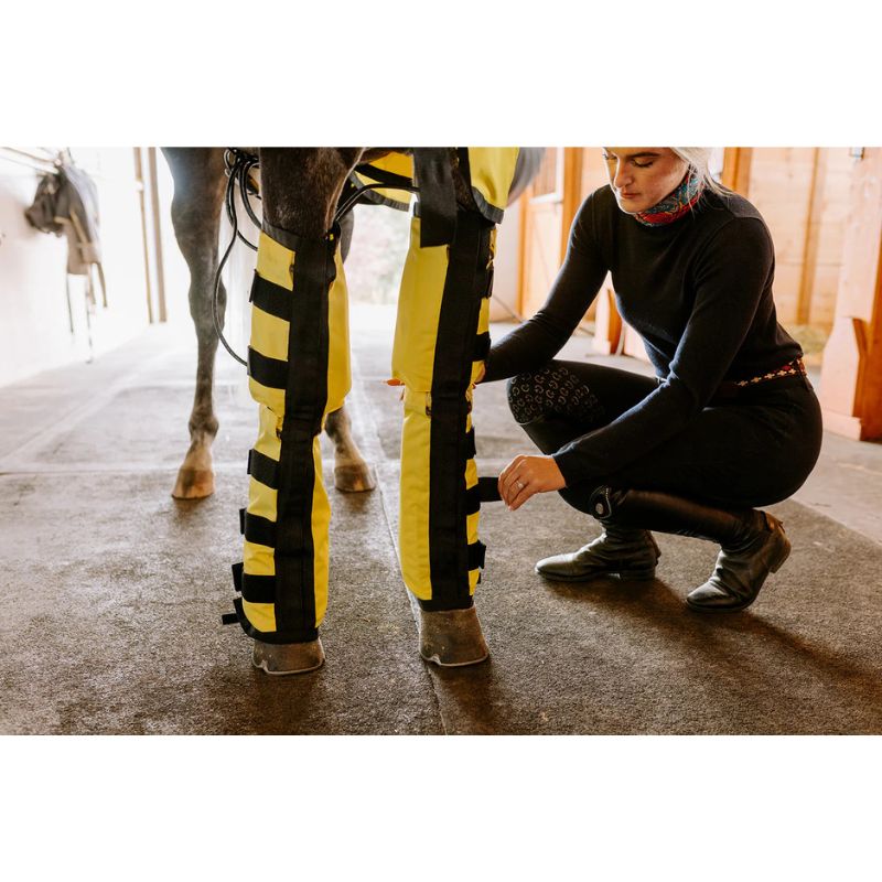 girl placing Far infrared heating pad leggings on horse legs