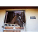 Horse peeking out from a stable door with white lights on the ceiling. 