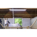 Horse inside a stable with white light fixture on the ceiling
