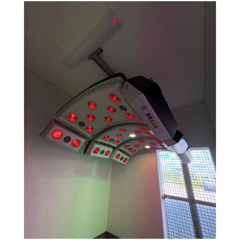 Ceiling-mounted horse solarium light with red lights on a white ceiling