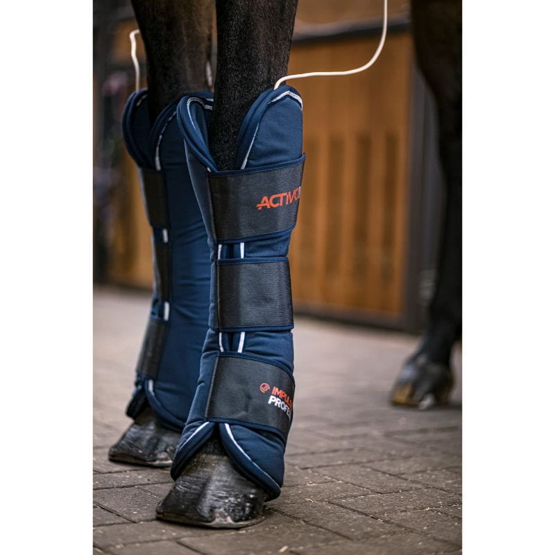 Navy protective leg wraps on a horse's legs with 'Activ' branding.