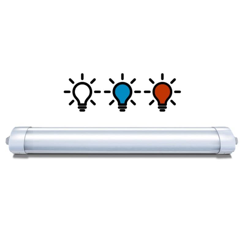 Light bulb icon with three colored lights above a cylindrical light fixture on a white background