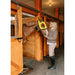 Horse enjoying infrared heating pad benefits and girl