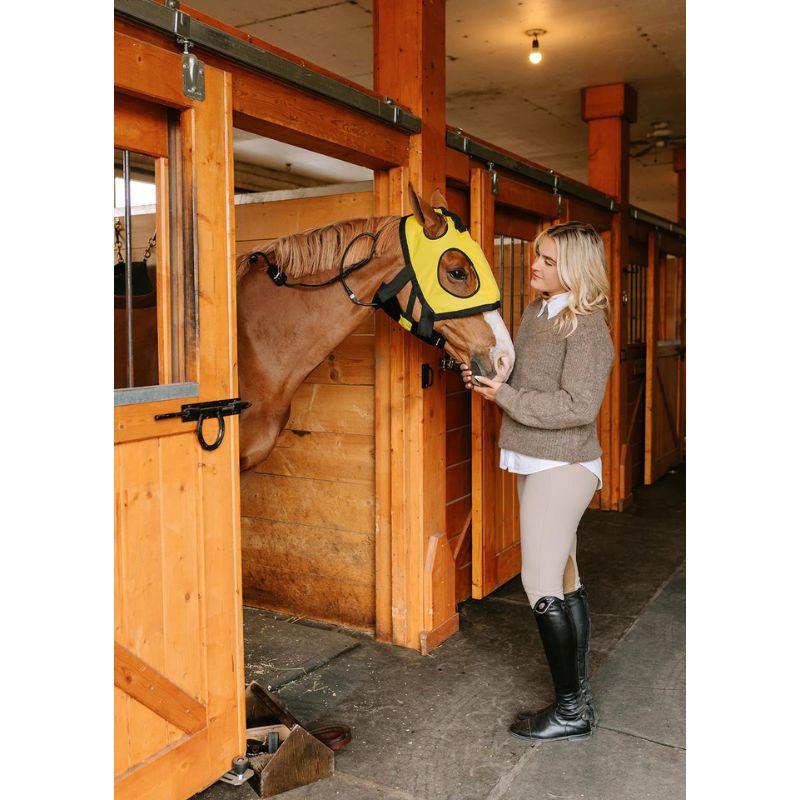 Horse enjoying infrared heating pad benefits and girl
