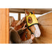 horse in infrared pad 