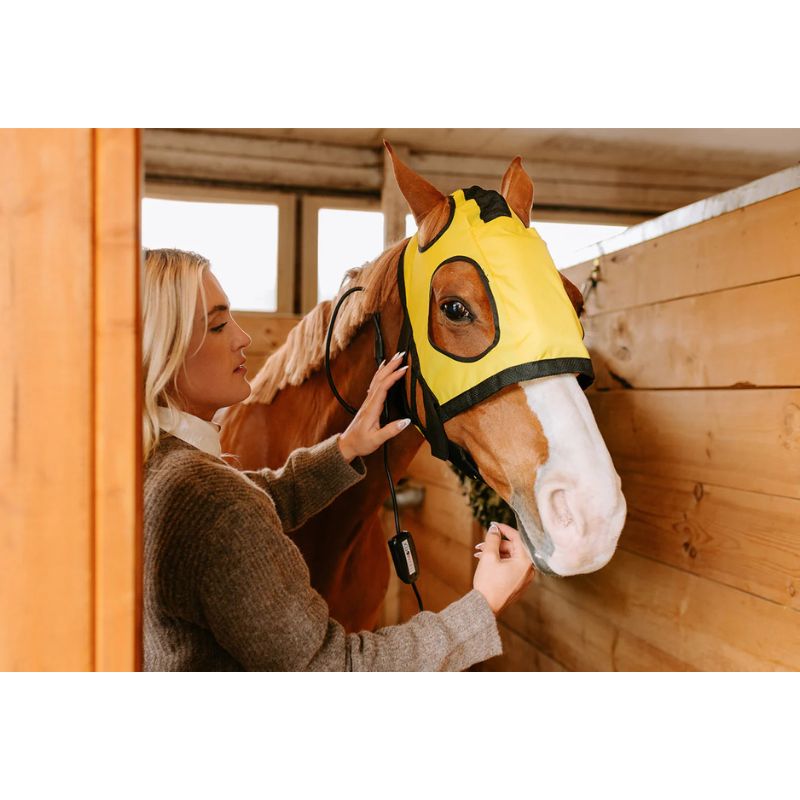 horse in infrared pad 