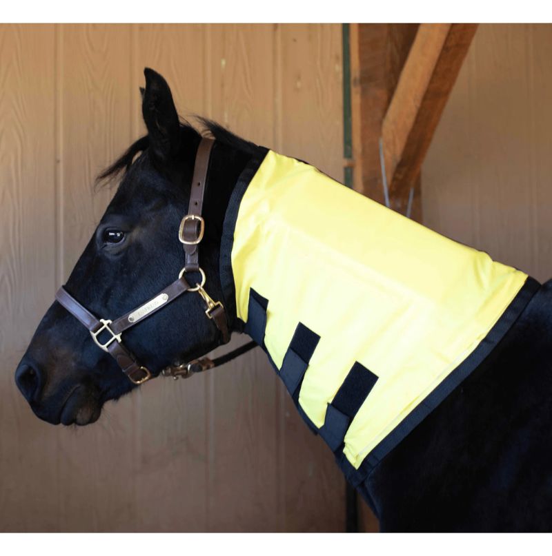 neck best infraread heating pad horse left side