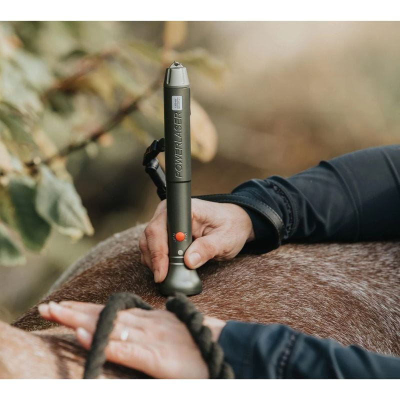 brown horse receiving therapy with PowerLaser in green 