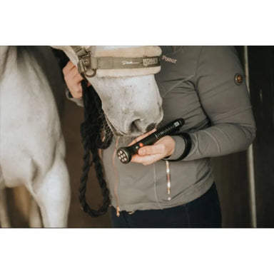 powermedic basic 1200VET horse getting familiar with laser 