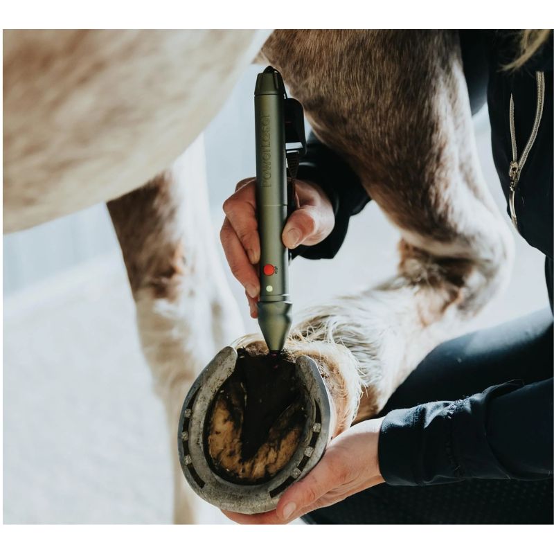 Veterinarian using Class 3B PowerMedic cold laser therapy on a hoof for post-op rehabilitation 