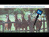 Horse endoscope specs video 