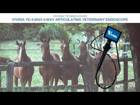 Horse endoscope specs video 