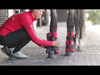 PEMF leg wraps for horses 