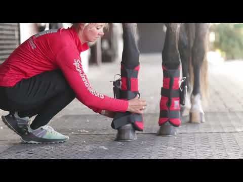 PEMF leg wraps for horses 