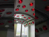 Equine Solarium Video 