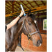 Veterinarian applying America Cryo Equine Shockwave Therapy to neck