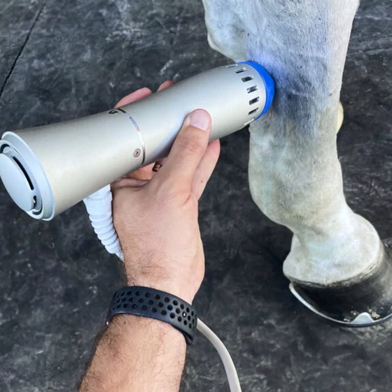 Veterinarian applying America Cryo Equine Shockwave Therapy to horse leg joint