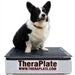 white and black dog sitting on theraplate