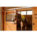 horse wearing thermotex best infrared heating pad