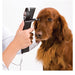 Dog being examined by a veterinarian with an otoscope.