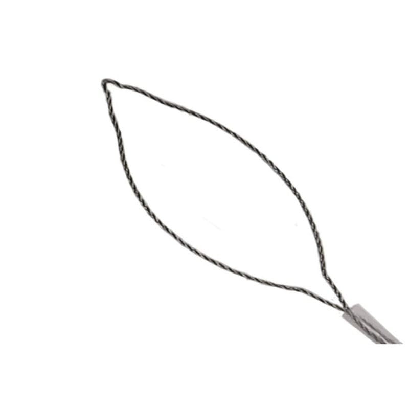 Endoscopy brown cord in loop shape 