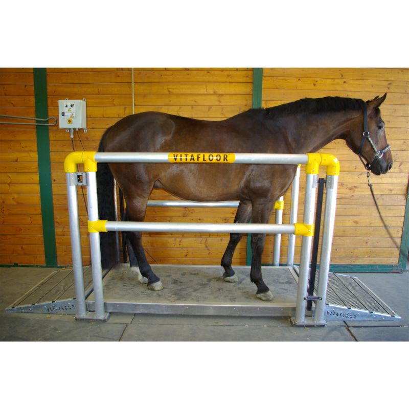 Horse standing in a vibration plate yellow plastic barrier in an indoor setting