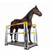 Horse standing on a vibration platewith yellow accents on a white background
